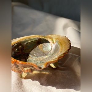 Large Vintage Abalone Lucite Tri- Footed Shell Catchall, beach, coastal, euro